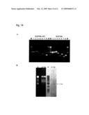 LANTIBIOTICS AND USES THEREOF diagram and image