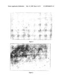 CELL COMPOSITION FOR TISSUE REGENERATION diagram and image