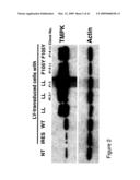 THYMIDYLATE KINASE MUTANTS AND USES THEREOF diagram and image