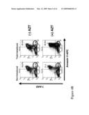 THYMIDYLATE KINASE MUTANTS AND USES THEREOF diagram and image