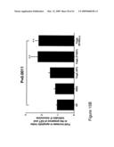 THYMIDYLATE KINASE MUTANTS AND USES THEREOF diagram and image