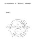 THYMIDYLATE KINASE MUTANTS AND USES THEREOF diagram and image