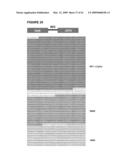 THYMIDYLATE KINASE MUTANTS AND USES THEREOF diagram and image