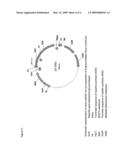 Transgenic expression cartridges for expressing nucleic acids in the flower tissue of plants diagram and image