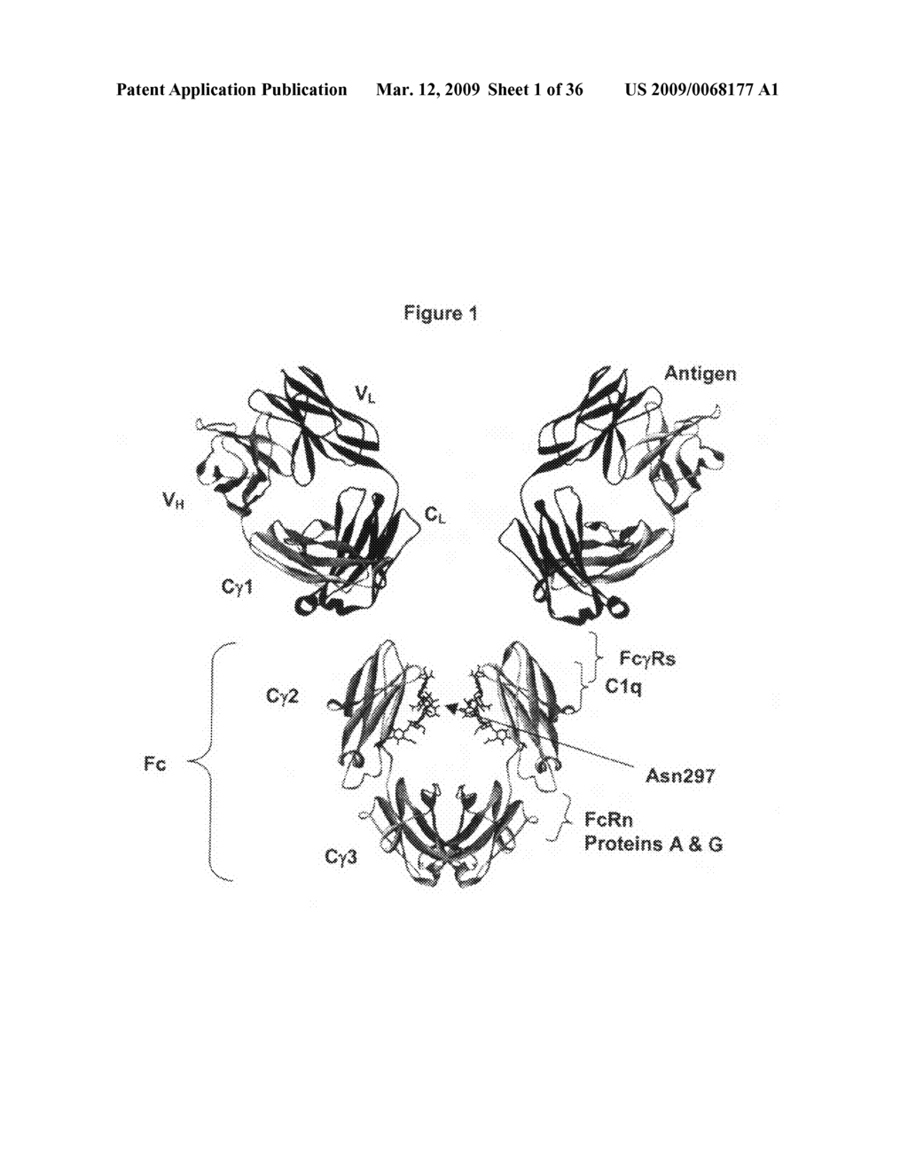 Optimized Fc variants and methods for their generation - diagram, schematic, and image 02