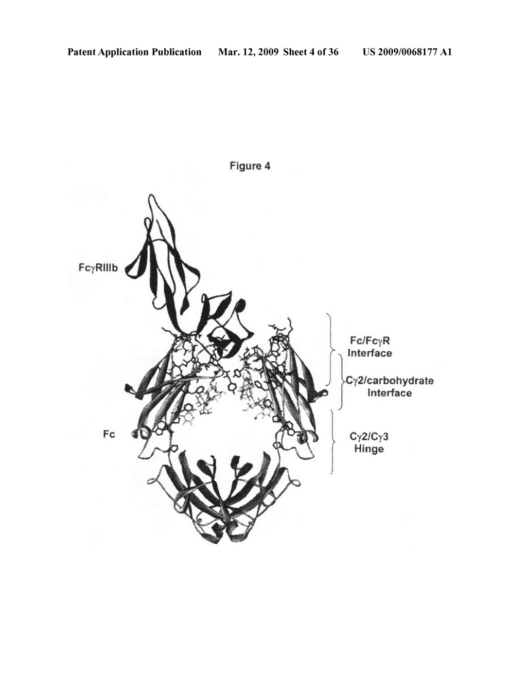 Optimized Fc variants and methods for their generation - diagram, schematic, and image 05