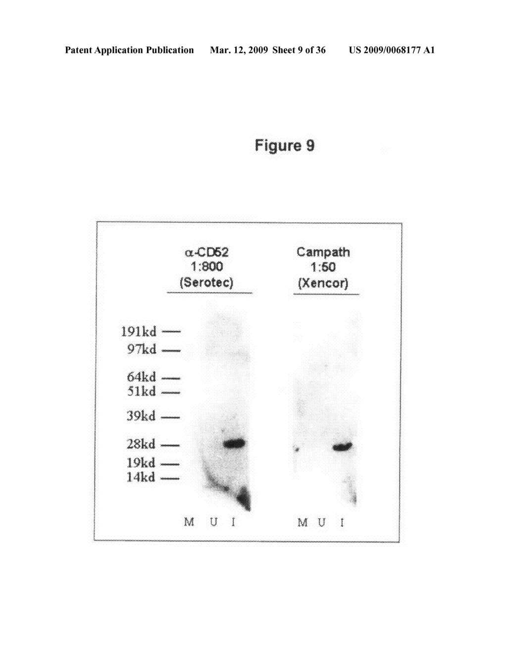 Optimized Fc variants and methods for their generation - diagram, schematic, and image 10