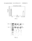 Methods for Inhibiting Carcinogenesis and/or Metastasis in an Individual with Endogenous C-Met Ligands and Inhibitors diagram and image