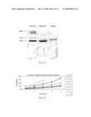 Methods for Inhibiting Carcinogenesis and/or Metastasis in an Individual with Endogenous C-Met Ligands and Inhibitors diagram and image