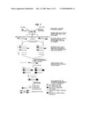 Asthma associated factors as targets for treating atopic allergies including asthma and related disorders diagram and image