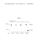 Monoclonal Antibody to Human TGF-Beta Induced Gene-H3 and Use Thereof diagram and image