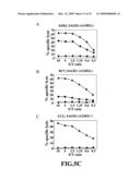 Cytotoxic Lymphocyte diagram and image