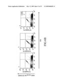 Cytotoxic Lymphocyte diagram and image