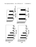 IMMUNOTHERAPY FOR HEMATOLOGICAL MALIGNANCIES diagram and image