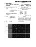 Methods and compositions for the treatment and prevention of cancer diagram and image