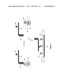 Methods of DNA Methylation Detection diagram and image