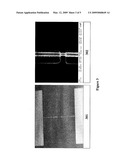 Methods of DNA Methylation Detection diagram and image