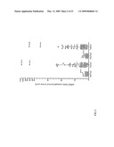 SLC9A3R1 DIRECTED DIAGNOSTICS FOR NEOPLASTIC DISEASE diagram and image