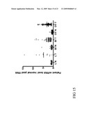 SLC9A3R1 DIRECTED DIAGNOSTICS FOR NEOPLASTIC DISEASE diagram and image