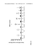 SLC9A3R1 DIRECTED DIAGNOSTICS FOR NEOPLASTIC DISEASE diagram and image