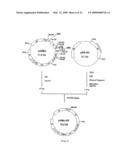 USEFUL POLYPEPTIDES diagram and image