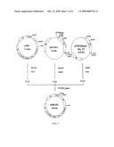 USEFUL POLYPEPTIDES diagram and image