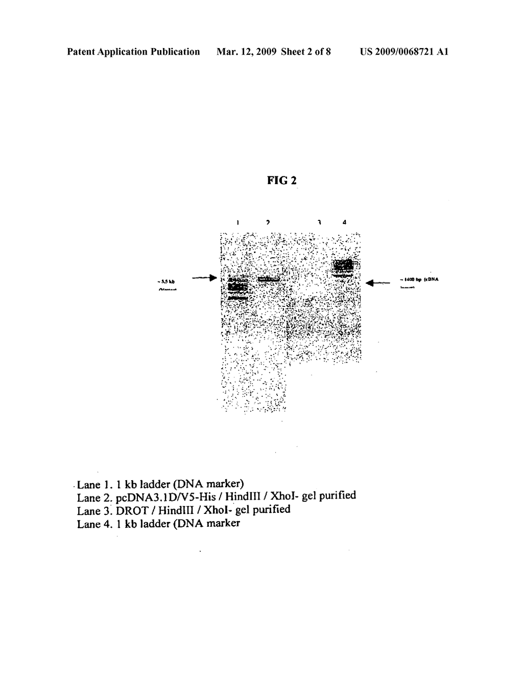 Process for the Production of Recombinant Activated Human Protein C for the Treatment of Sepsis - diagram, schematic, and image 03