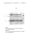 Process for the Production of Recombinant Activated Human Protein C for the Treatment of Sepsis diagram and image