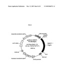 Process for the Production of Recombinant Activated Human Protein C for the Treatment of Sepsis diagram and image