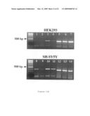 COMPOSITIONS AND METHODS FOR PERFORMING REVERSE GENE THERAPY diagram and image