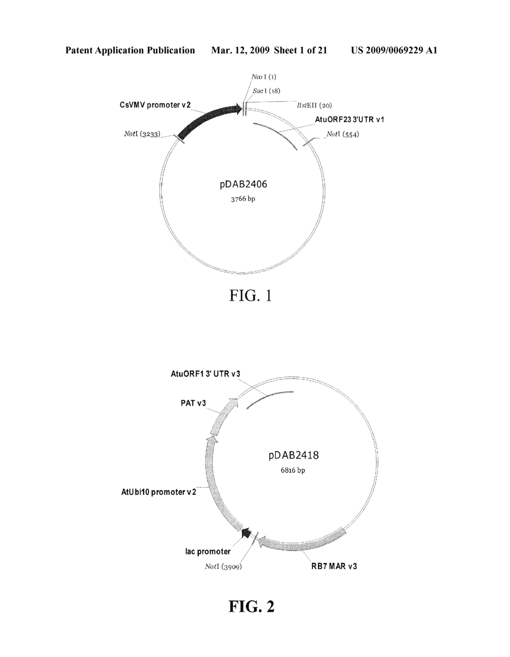 PLANT-MADE WEST NILE VIRUS (WNV) VACCINES, VECTORS AND PLANT CODON OPTIMIZED SEQUENCES - diagram, schematic, and image 02