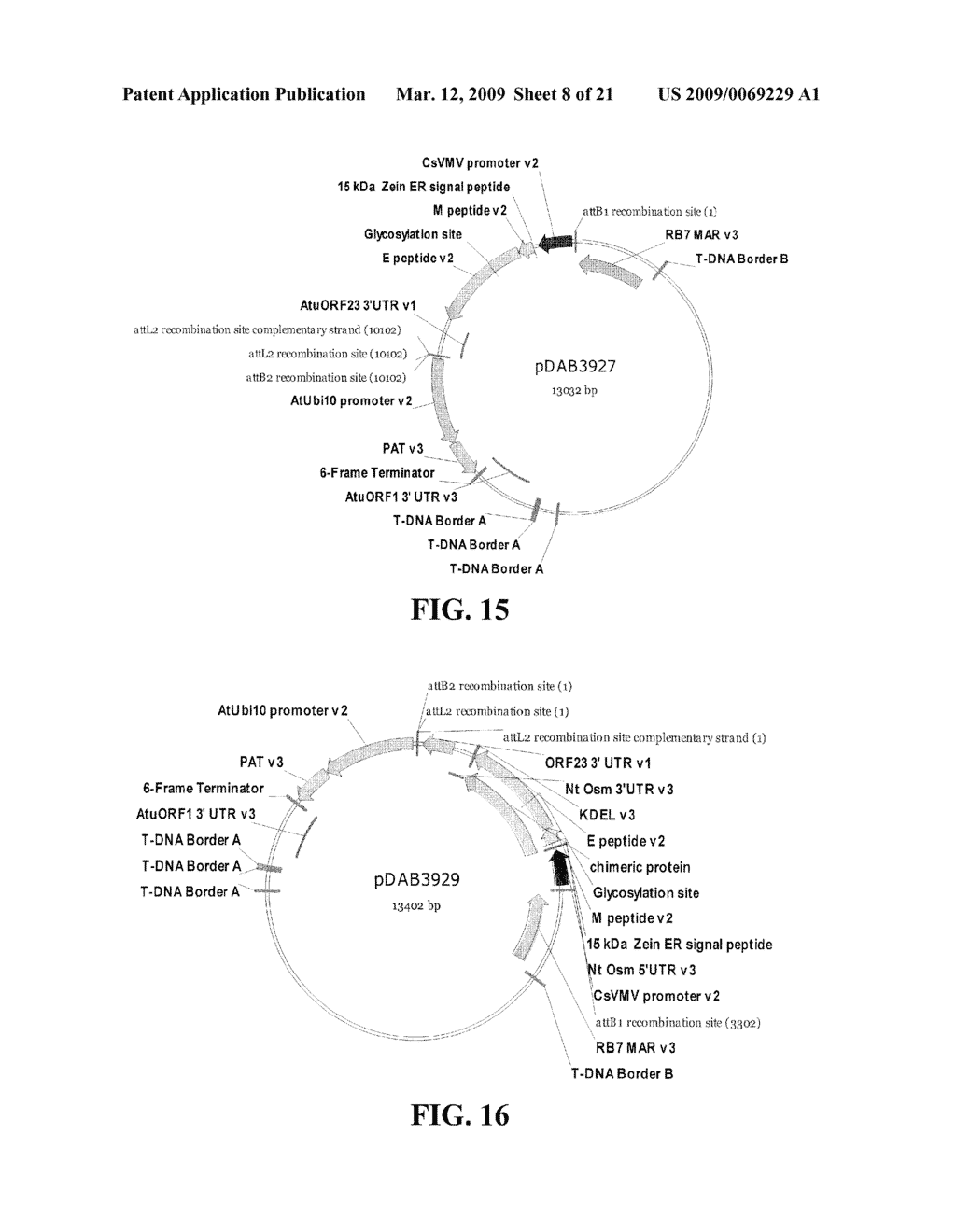 PLANT-MADE WEST NILE VIRUS (WNV) VACCINES, VECTORS AND PLANT CODON OPTIMIZED SEQUENCES - diagram, schematic, and image 09