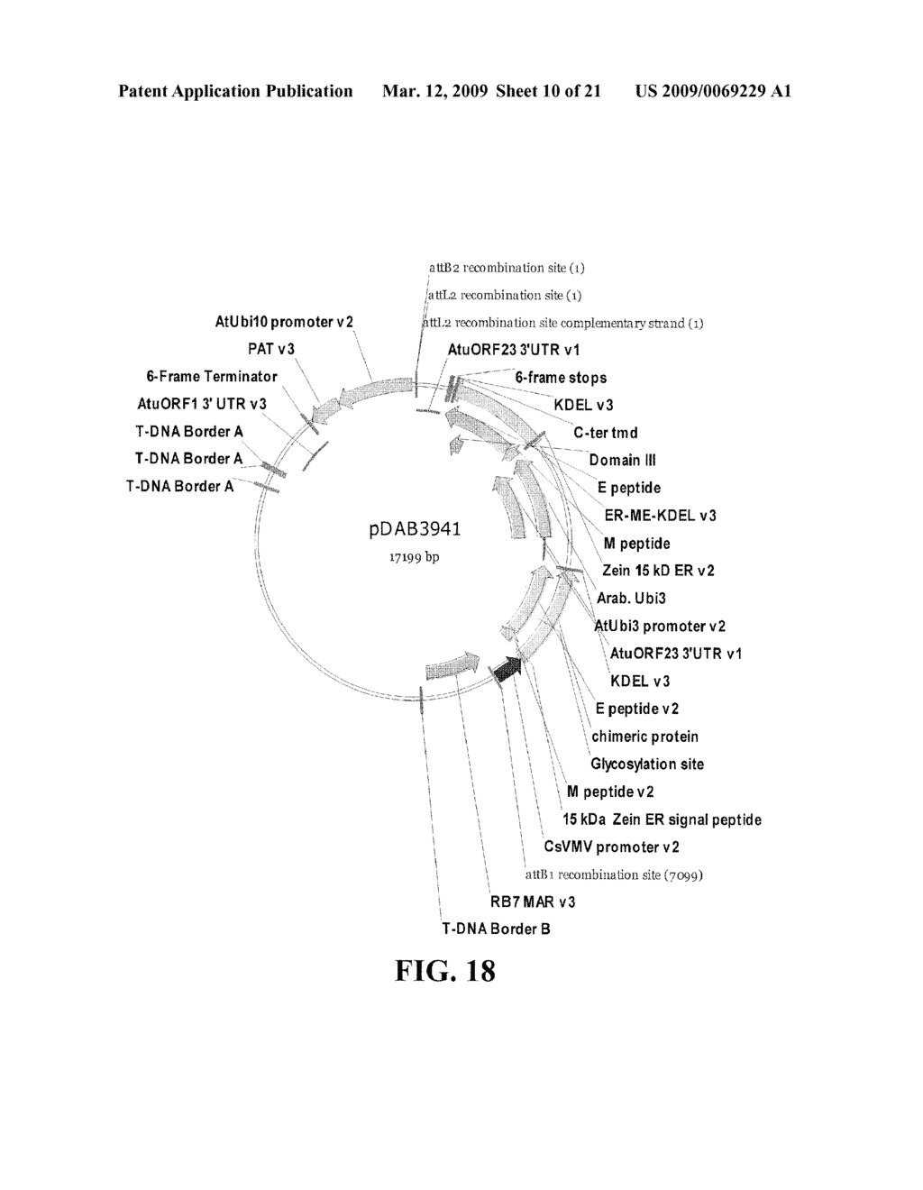 PLANT-MADE WEST NILE VIRUS (WNV) VACCINES, VECTORS AND PLANT CODON OPTIMIZED SEQUENCES - diagram, schematic, and image 11