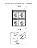 COMPOUNDS, COMPOSITIONS AND METHODS FOR PRODUCING ANTIOXIDANTS FROM CARNITINE diagram and image