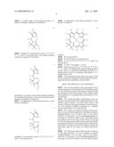 REFINED ROUTES TO CHLORIN BUILDING BLOCKS diagram and image