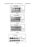 METHODS AND COMPOSITIONS FOR TREATMENT OR PREVENTION OF RADIATION-INDUCED FIBROSIS diagram and image