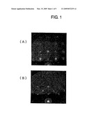 Gallium oxide single crystal composite, process for producing the same, and process for producing nitride semiconductor film utilizing gallium oxide single crystal composite diagram and image