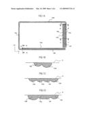 Organic electroluminescence display device diagram and image