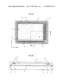 Organic electroluminescence display device diagram and image