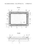 Organic electroluminescence display device diagram and image