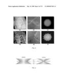 OPTICAL LATTICE MICROSCOPY diagram and image