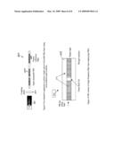 MODE SELECTION FOR SINGLE FREQUENCY FIBER LASER diagram and image