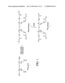 MULTI-ARM POLYMERIC CONJUGATES OF 7-ETHYL-10-HYDROXYCAMPTOTHECIN FOR TREATMENT OF BREAST, COLORECTAL, PANCREATIC, OVARIAN AND LUNG CANCERS diagram and image