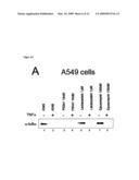  METHOD FOR TREATING INFLUENZA VIRUS INFECTION diagram and image