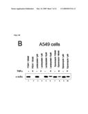  METHOD FOR TREATING INFLUENZA VIRUS INFECTION diagram and image