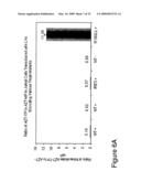 THYMIDYLATE KINASE MUTANTS AND USES THEREOF diagram and image