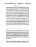 THYMIDYLATE KINASE MUTANTS AND USES THEREOF diagram and image