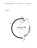 MICROBIAL INTESTINAL DELIVERY OF OBESITY RELATED PEPTIDES diagram and image