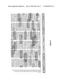 Composition and method for inducing and enhancing a telomerase reverse transcriptase-reactive cytotoxic T lymphocyte response diagram and image