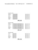 THERAPEUTIC USE OF ANTI-TWEAK RECEPTOR ANTIBODIES diagram and image